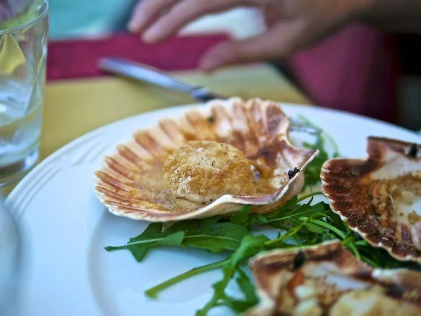 Grilled scallops served in their shells on a bed of rocket