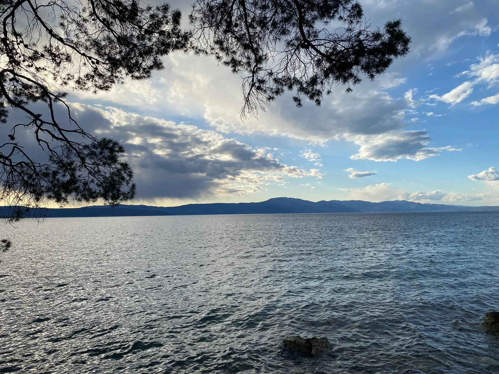 The calm Adriatic sea at dusk, with distant hills under a dramatic cloudy sky, framed by a pine branch